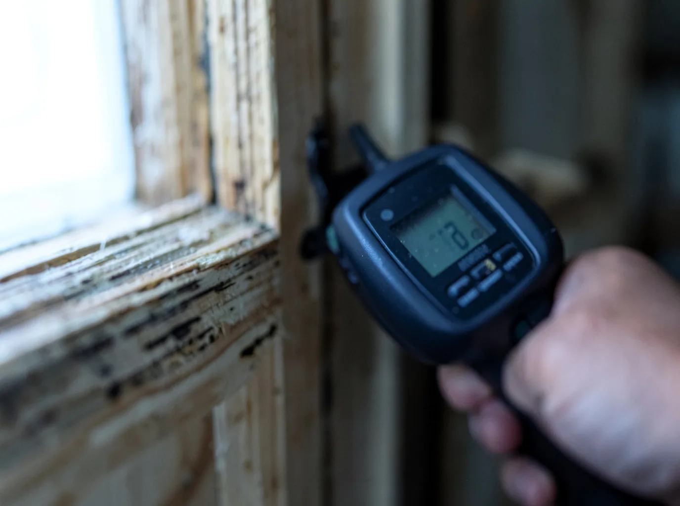 Moisture Inspection And Documentation in Itasca, IL